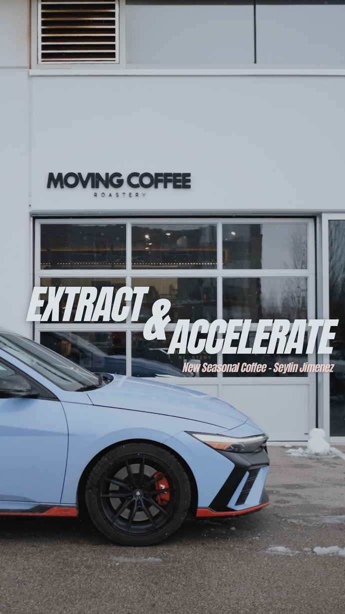 Extract and Accelerate | New Seasonal Offering: Seylin Jimenez N