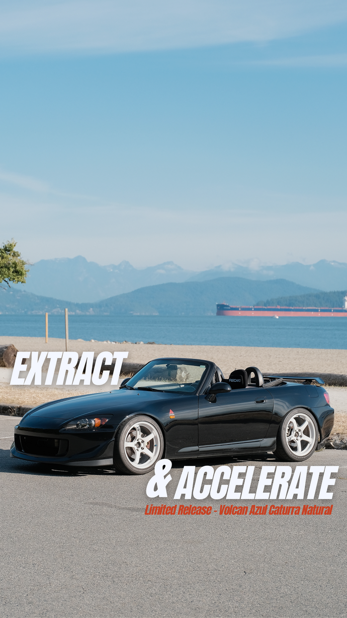 Extract and Accelerate | Limited Release: Volcan Azul Caturra Natural