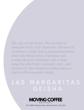 Las Margaritas Geisha H
