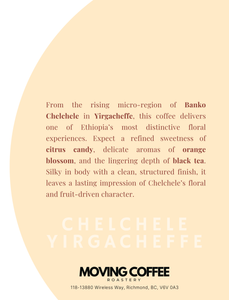 HK - Chelchele Yirgacheffe W