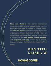 Don Tito Geisha W