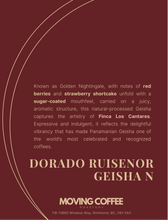 Cantar Dorado Ruisenor Geisha N