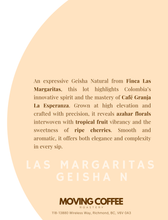 Las Margaritas Geisha N