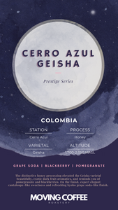 Cerro Azul Geisha H