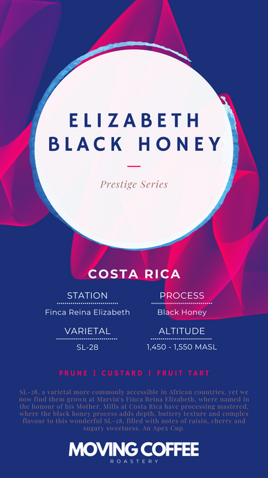 A - Elizabeth SL-28 Black Honey
