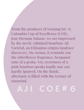 WS - AJI COE#6