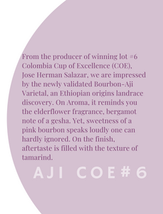 WS - AJI COE#6