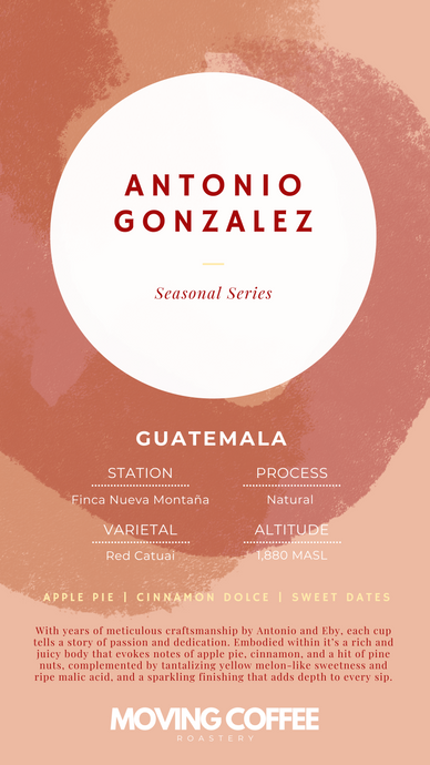 Antonio Gonzalez N