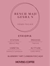 Gesha Village Bench Maji Gesha N