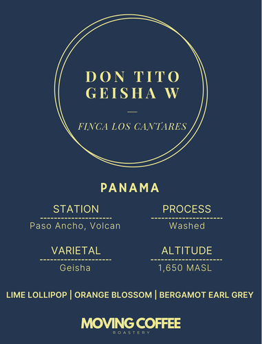 Don Tito Geisha W