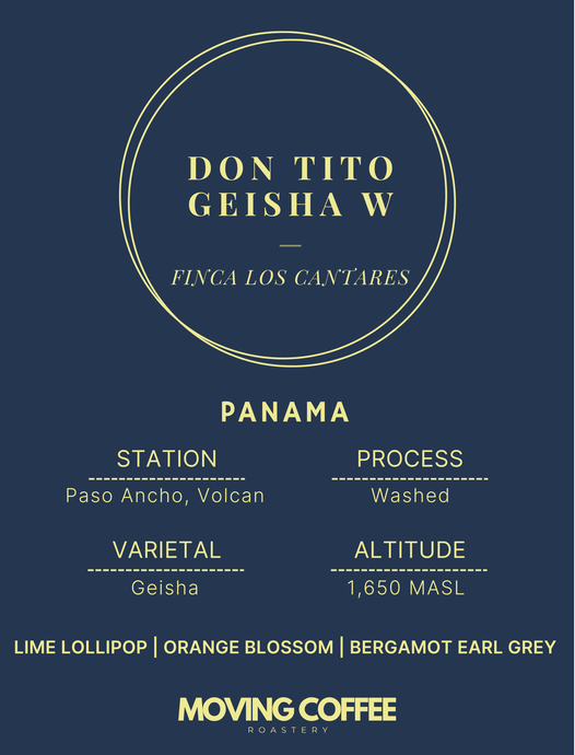 Don Tito Geisha W