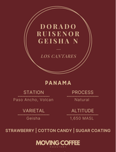 Cantar Dorado Ruisenor Geisha N