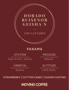 Cantar Dorado Ruisenor Geisha N