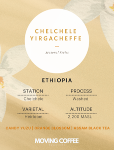 Chelchele Yirgacheffe W