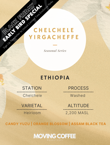 Chelchele Yirgacheffe W