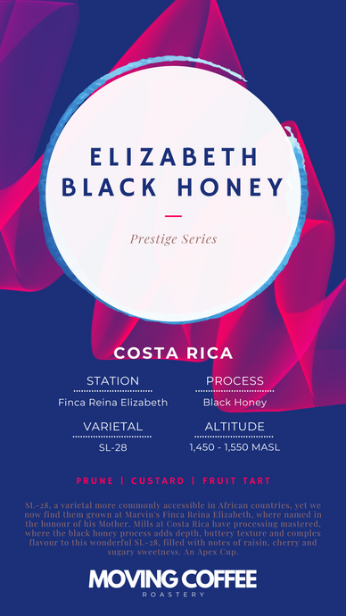 Elizabeth SL-28 Black Honey