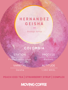 WS - Hernandez Gesha W