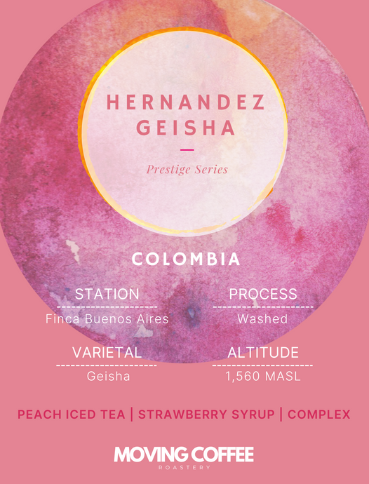 WS - Hernandez Gesha W