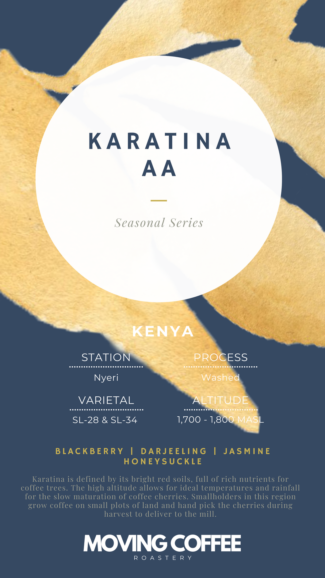 Karatina AA W