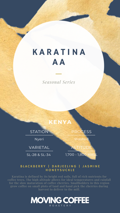Karatina AA W Espresso