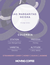 Las Margaritas Geisha H