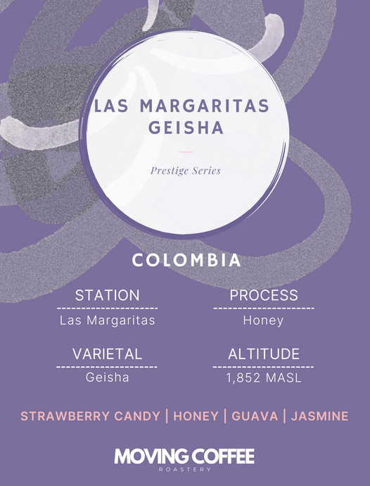 Las Margaritas Geisha H