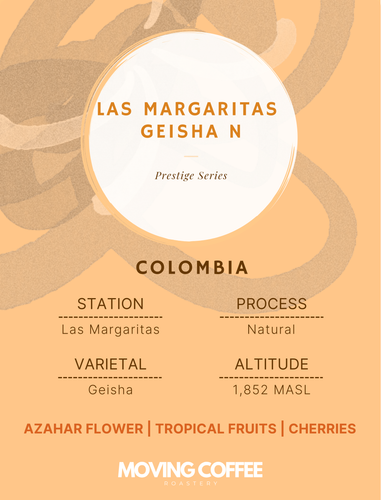 Las Margaritas Geisha N