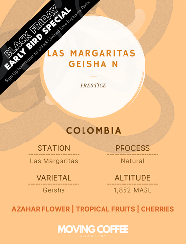 Las Margaritas Geisha N