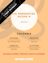 Las Margaritas Geisha N