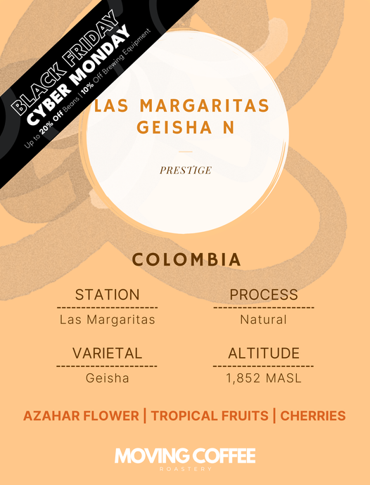 Las Margaritas Geisha N