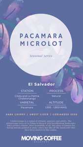 Pacamara Natural Microlot