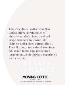 Seylin Jimenez N