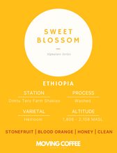 WS3 - Sweet Blossom