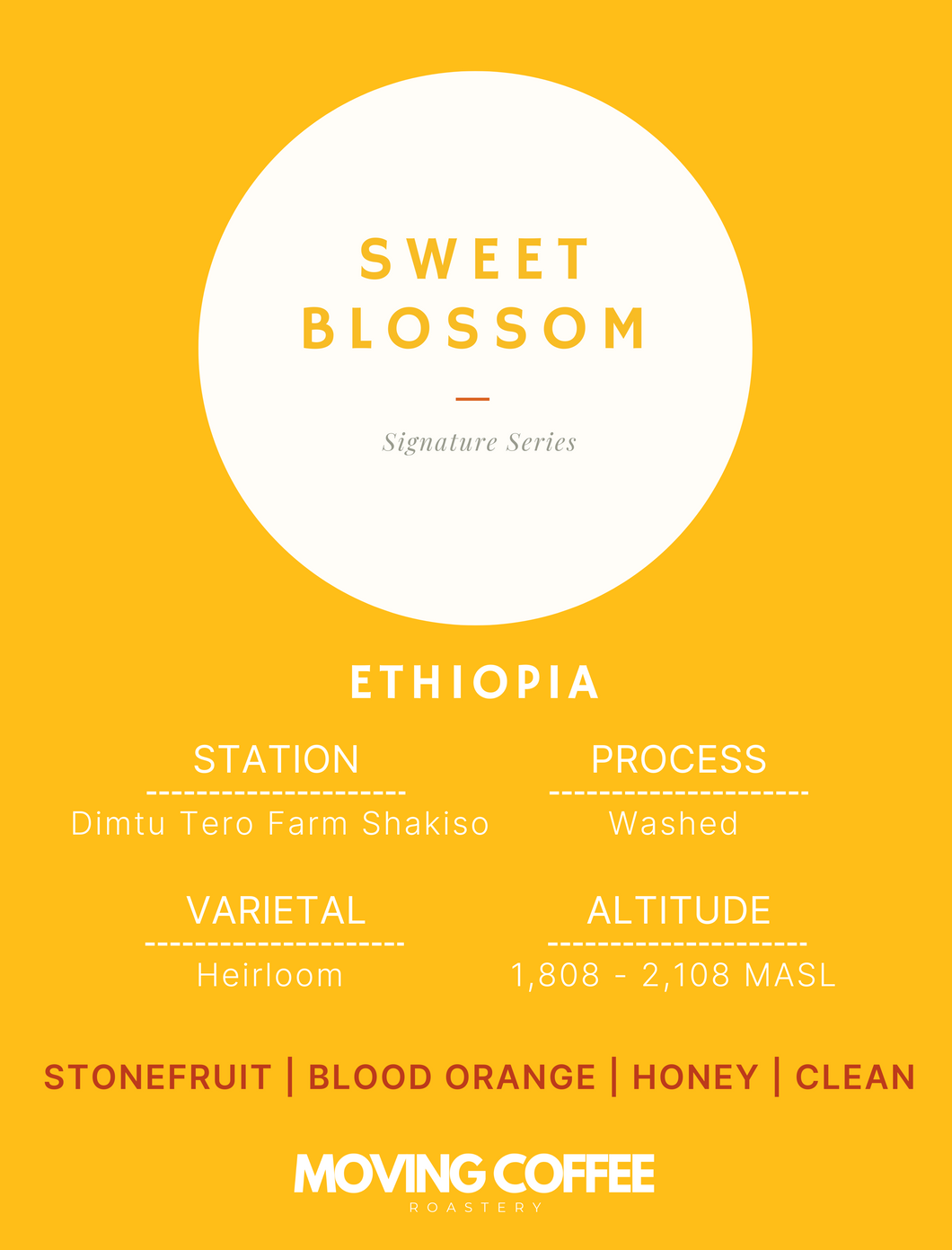 WS3 - Sweet Blossom