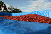 Gesha Village Bench Maji Gesha N