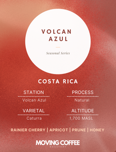 Volcan Azul Caturra N